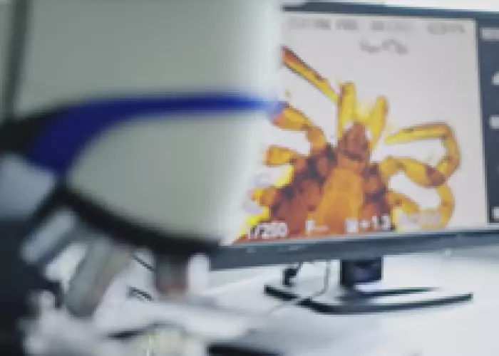 {{ value_6|escape }}