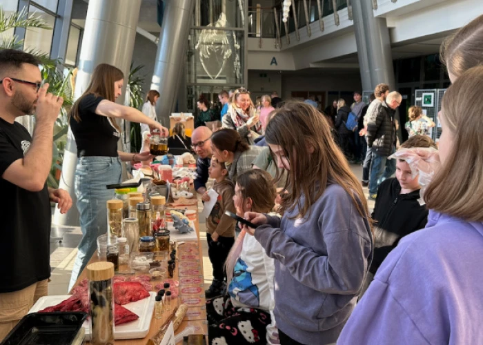 Ilustracja: The 16th Brain Days in the Tricity