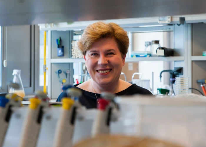 Ilustracja: A project in the field of translational medicine has received over PLN 11.6 million in funding under the TRANSMED call for proposals