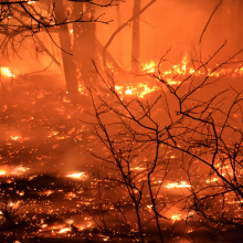 New Jersey Pine Barrens fire
