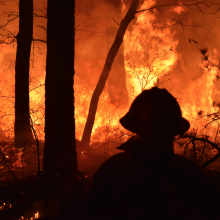 Pożar kontrolowany New Jersey, na zdjęciu prof. Claire Belcher