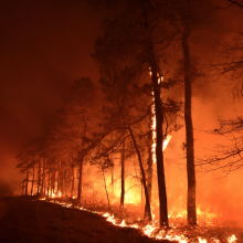 New Jersey Pine Barrens fire