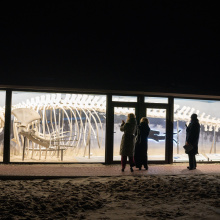 fot. Robert Wieczorek