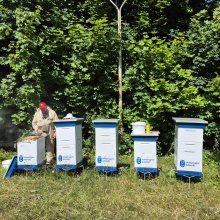 Miodobranie 2025 w pasiece UG, fot.1