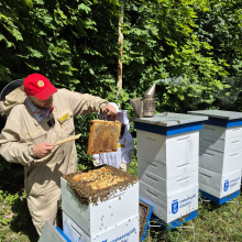 Miodobranie 2025 w pasiece UG, fot. 4