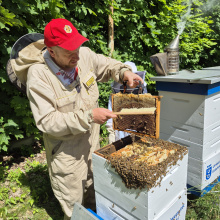 Miodobranie 2025 w pasiece UG, fot. 5