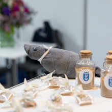 Gdański Salon Maturzystów 2025, fot. B. Jętczak - 003