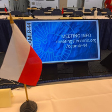 fot. Kinga Hoszek-Mandera