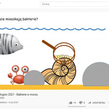 5. Animacja „Co bakterie robią w morzu?” przygotowany przez dr Annę Iglikowską i dr Monikę Mioduchowską.