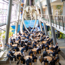 fot. Marcel Jakubowski