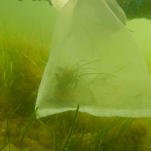 fot. Krystian Bielatowicz