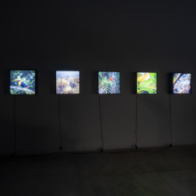 Zdjęcia dokumentujące wystawę „Klimaks”