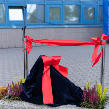 Hewelion na UG, ​​​​​​​Fot. B. Jętczak