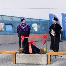 Hewelion na UG, ​​​​​​​Fot. B. Jętczak