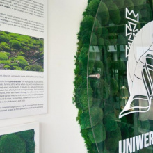 Obraz z mchu – kolejna ekspozycja w budynku Wydziału Biologii UG