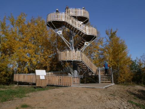 Na zdjęciu nowa wieża widokowa w rezerwacie przyrody Beka
