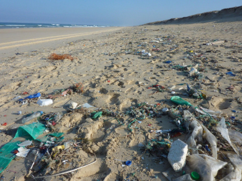 Pixabay, zanieczyszczona plaża