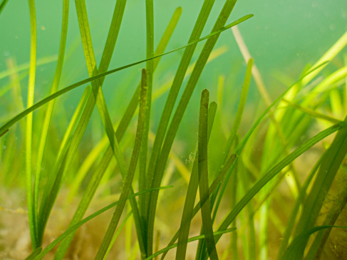 fot. Krystian Bielatowicz