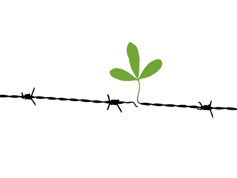 fot. mat. promocyjne