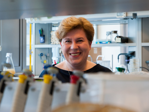 Prof. Alicja Węgrzyn