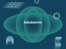 Dziedzictwo