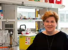 Prof. Alicja Węgrzyn