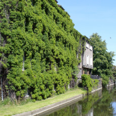 Instytut Archeologii i Etnologii oraz Instytut Historii Sztuki