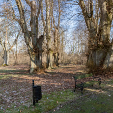 Zdjęcie 2 - Leżno z zewnątrz