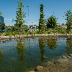 fot. Mateusz Ochocki / KFP