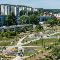 fot. Mateusz Ochocki / KFP