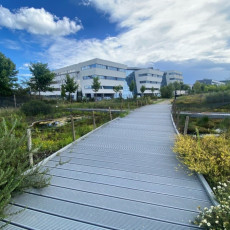 Torfowiska zabezpieczone siecią przed penetracją przez ptaki krukowate.