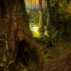 Stała ekspozycja pt. "Życie w lesie bursztynowym", Wydział Biologii UG. Widzimy trójwymiarowy model bursztynowego lasu